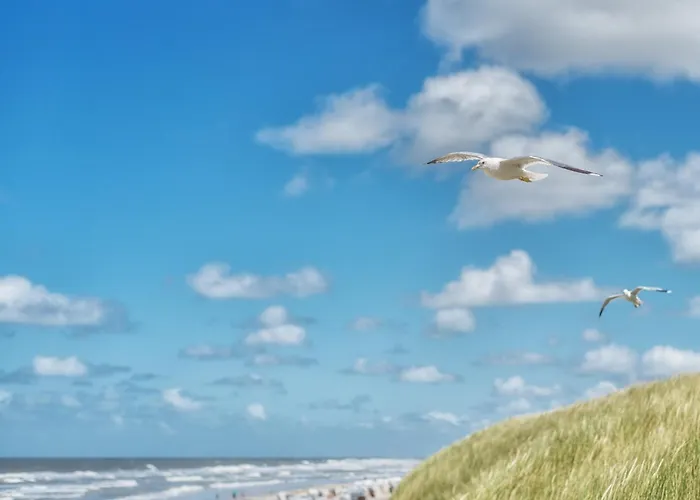 Апартаменты Appartementhaus Westerloog 14